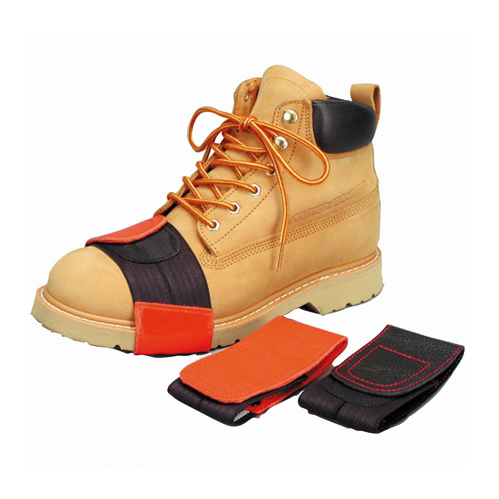 Daisy on the Ohoopee